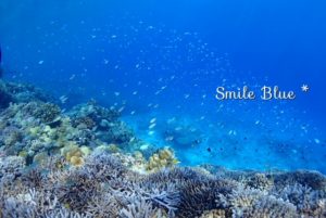 水納島の美しい珊瑚と青い魚たち