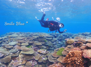 瀬底島周辺の浅場は、珊瑚礁の絨毯が広がります！