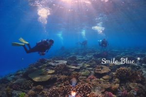 水納島を代表する美しいサンゴ礁たち