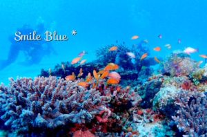 水納島の色鮮やかな水中世界✨