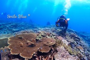 美しい万座の珊瑚礁